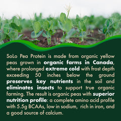 Folona Solo Organic Pea Protein Isolate bag-open scene ready for quick protein.