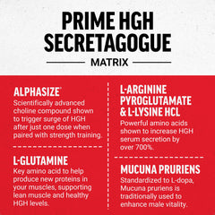 Label detail showing AlphaSize and ingredients for HGH-supporting product