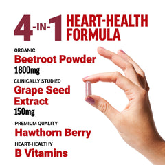 Force Factor Total Beets capsules close-up for circulation support