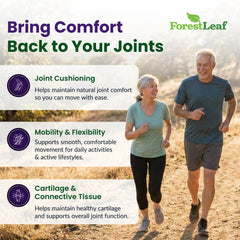 ForestLeaf glucosamine chondroitin msm capsules ready for daily joint comfort