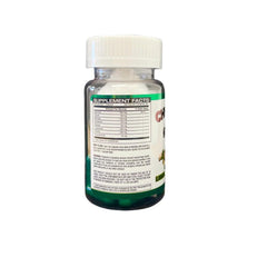 Forte Lighting Chupa Panza Normal pack showing 30 natural ginger capsules for everyday use