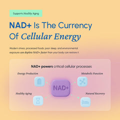 Fortematic Resveratrol label details highlight NAD+ ingredients.