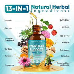 Fortilume Lymphatic Drops berry flavor glass suggesting tasty daily routine.