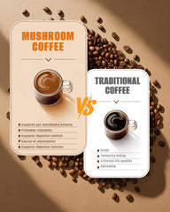 FORTISCA Mushroom Coffee iced brew, refreshing energy without jitters.