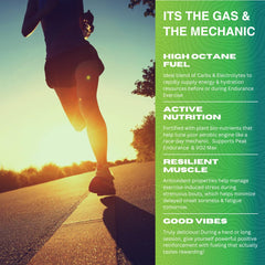 Freak Shake Fuel & Hydrate epicatechin plant extract highlight for natural energy support