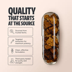 Close-up of FreshCap Chaga capsules showing dual-extracted potency