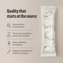 FreshCap Lions Mane powder with measured sticks for consistent daily dosing.