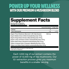 FreshCap Mushrooms Lion Mane extract illustration emphasizes brain support within the six-mushroom blend.