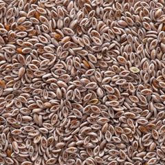 Frontier Co-op Organic Psyllium Seed 1lb packaging ready for pantry storage.
