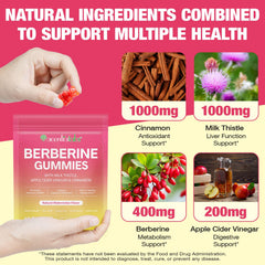 Frovetani Berberine Gummies ingredients showcase milk thistle for digestive balance