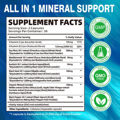 Close-up of Fubienfit capsules, easy-to-swallow daily supplement.