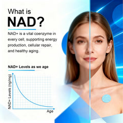 FulKelp NAD Patch shown worn for up to 8 hours for steady energy support