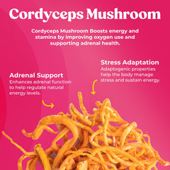 Fungiments Super Bouncy capsules close-up highlighting Cordyceps for vitality