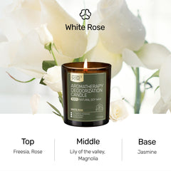 FURRYPURR pet-friendly soy candle in a glass jar with clean burn