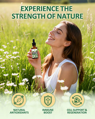 Sea moss and moringa highlight natural ingredients behind the Fynzylarv blend