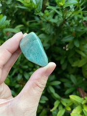 GAF TREASURES amazonite polished rocks arranged for display