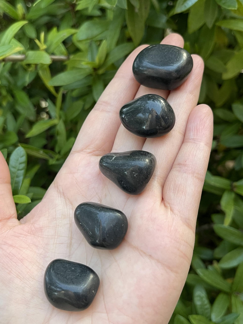 GAF TREASURES Black Tourmaline tumbled stones set for grounding and protection.