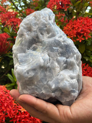 GAF Treasures blue calcite rough stone, 4-5 inch, ideal for display and energy cleansing.