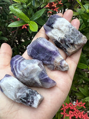 GAF TREASURES Chevron Amethyst rock collection piece with unique patterns ideal for display
