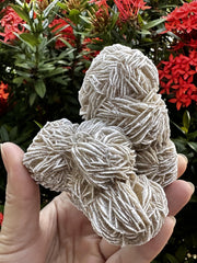 GAF TREASURES Desert Rose Cluster closeup for grounding energy and meditative ambiance