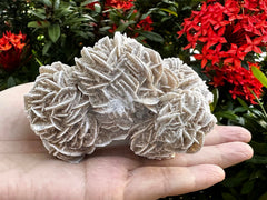 GAF TREASURES Desert Rose Cluster full view suitable for altar display and calm reflection