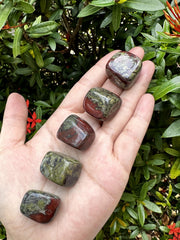 GAF TREASURES Dragon Blood Jasper tumbled stones collection for mindful reflection and momentum
