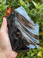 GAF TREASURES extra large black obsidian rough chunk for bold display