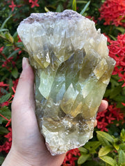 GAF TREASURES green calcite rough stone 1-2 lb for display and crafting.