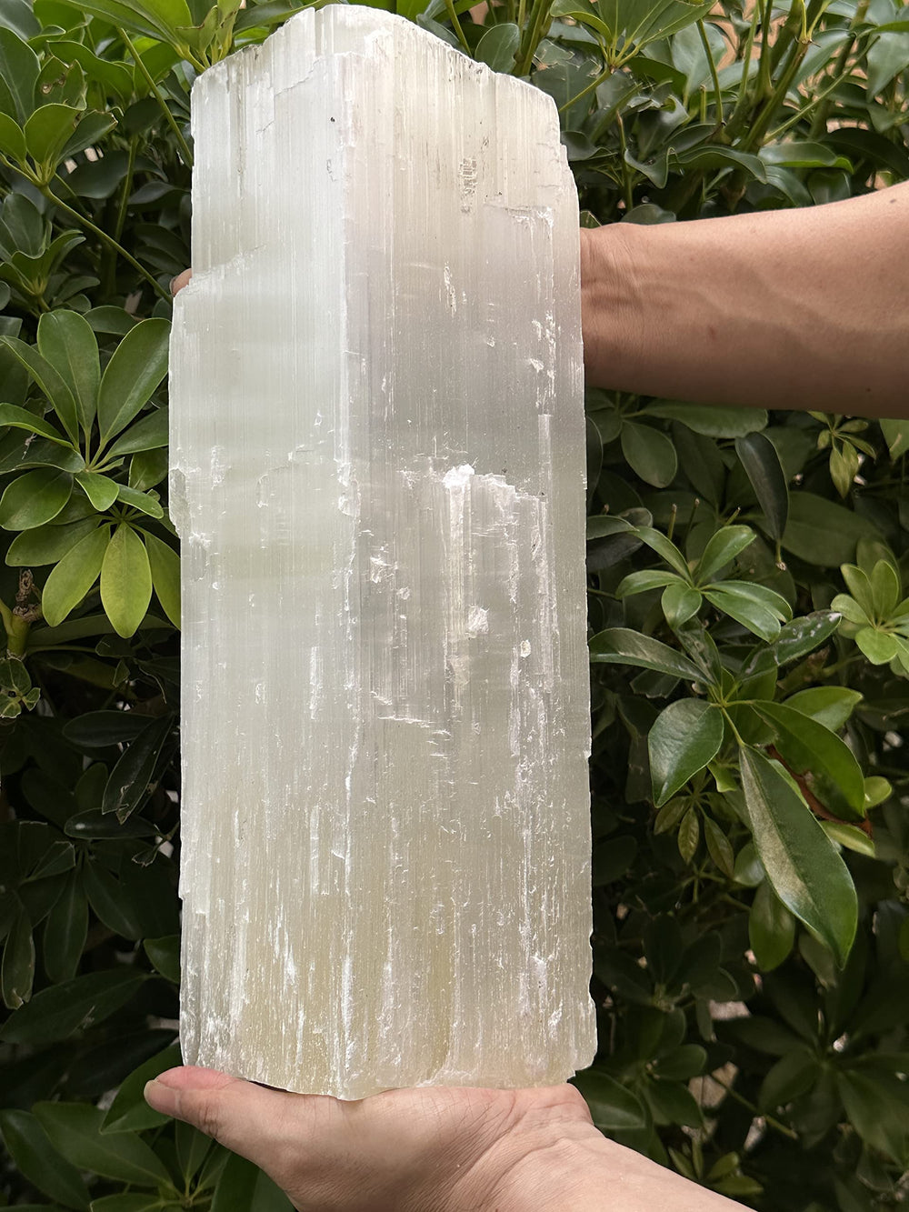 GAF Treasures jumbo selenite log in natural white glow for decor and calm energy