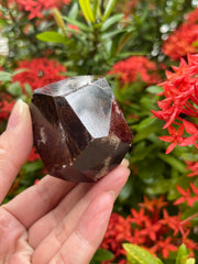 GAF TREASURES garnet polygon polished in crystal grid for intention setting