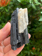 GAF Treasures large raw black tourmaline with quartz for display and meditation