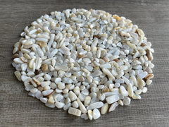 GAF TREASURES mother of pearl chips irregular edges ideal for mosaic accents and epoxy projects.