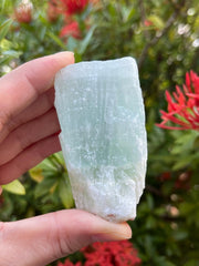 GAF TREASURES Pistachio Calcite rough close-up showcases natural color variation for display.