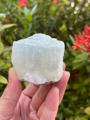 GAF TREASURES Pistachio Calcite rough natural stone with unique patterns for lapidary work.