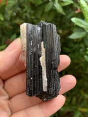 GAF Treasures rough black tourmaline quartz stone ideal for lapidary projects