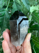 GAF TREASURES smoky quartz point closeup termination for grounding energy and calm display