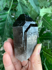 GAF TREASURES smoky quartz point closeup termination for grounding energy and calm display