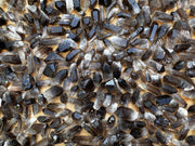 GAF TREASURES Smoky Quartz Point rough crystal for meditation and grounding.