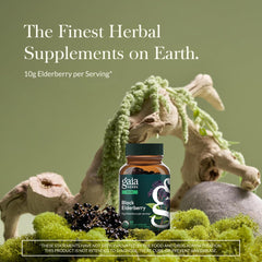 Gaia Herbs Acerola fruit detail highlighting vitamin C-rich ingredients.