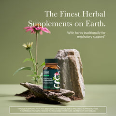 Closeup of Gaia Herbs Echinacea Goldenseal label showing traditional respiratory support