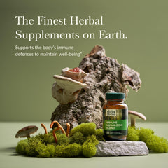 Gaia Herbs Everyday Mushrooms capsules close-up for easy daily use