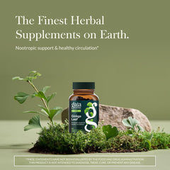 Gaia Herbs Ginkgo Leaf bottle back showing ingredients and usage notes.