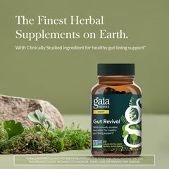 Gaia Herbs Gut Revival capsules surrounded by astragalus, chamomile, and gotu kola