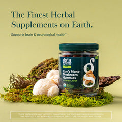 Gaia Herbs Lion's Mane gummies pack illustrates daily cognitive support use