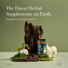 Lion's Mane label closeup highlighting organic, plant-based sourcing and quality commitment.
