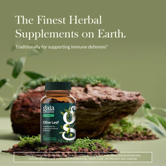 Ga ia Herbs Olive Leaf label emphasizes oleuropein-rich vegan capsules.