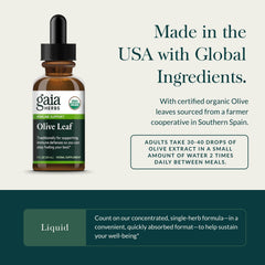Amber bottle of Gaia Herbs olive leaf extract in soft light
