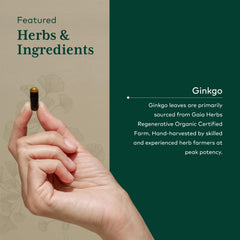 Gaia Herbs PRO Ginkgo leaf close-up highlighting whole-leaf extract