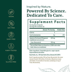 Close-up of Japanese knotweed ingredient highlighting natural resveratrol source.