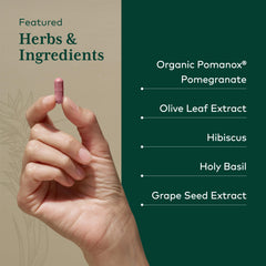 Gaia Herbs PRO Systolic Complex Pomanox pomegranate image indicating support for healthy vessels.